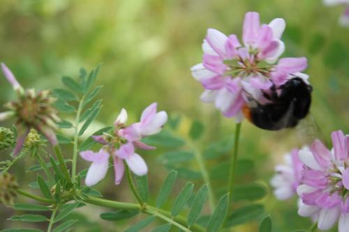 2016-06-12 14-50-25.JPG