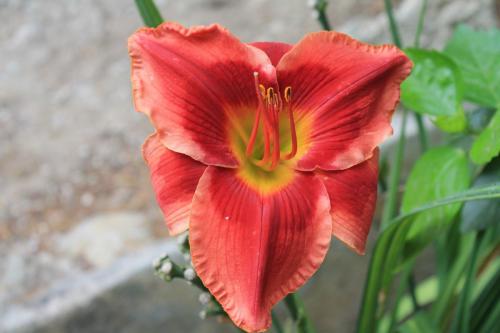 2017-06-28 15-18-10.JPG