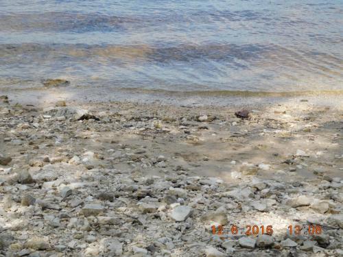 2016-06-12 13-08-28.JPG