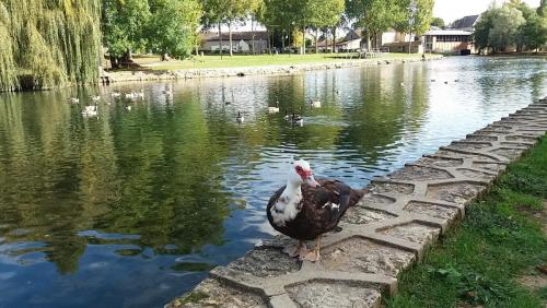 2017-10-09 16-28-38.JPG