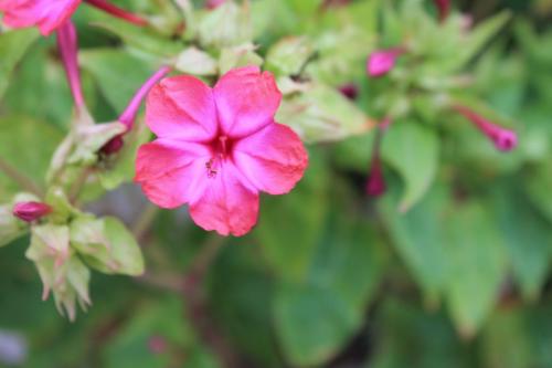 2015-10-01 11-17-42.JPG