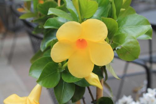 2016-04-24 13-04-23.JPG