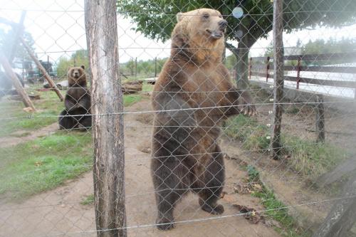 2015-09-29 18-11-29.JPG