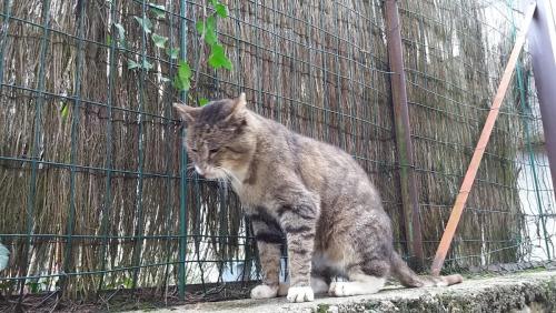 2017-10-09 15-43-26.JPG