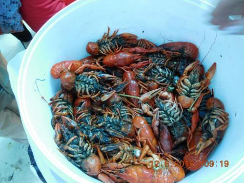 2016-06-12 09-19-00.JPG