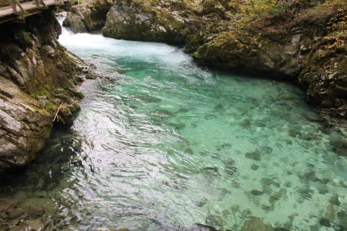 2015-10-02 13-56-26.JPG