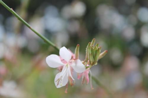 2017-06-28 14-16-40.JPG