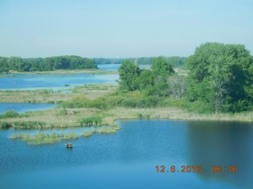 2016-06-12 06-36-34.JPG