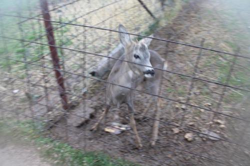 2015-09-29 18-10-45.JPG