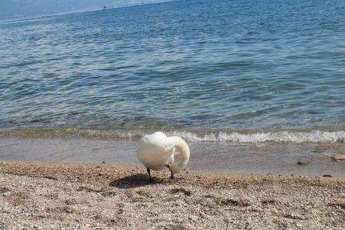 2017-06-30 11-33-56.JPG