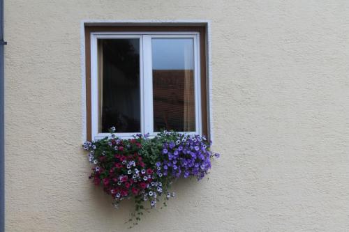 2017-07-01 08-01-53.JPG