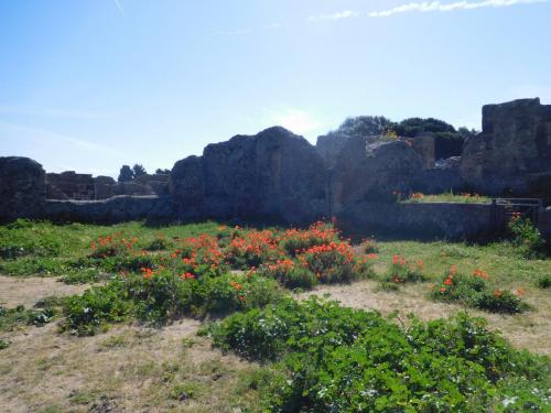 2015-01-01 00-00-00 (363).JPG