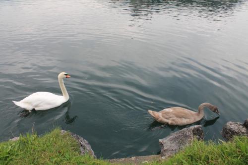 2015-10-02 12-41-24.JPG