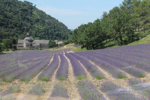 2017-06-25 11-59-43.JPG