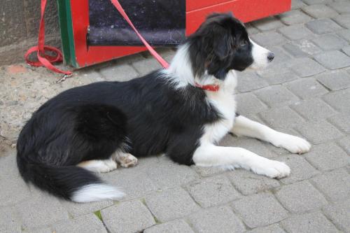 2015-10-03 13-01-00.JPG