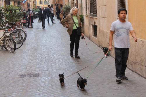 2016-04-21 12-17-08.JPG