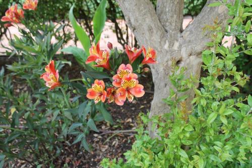 2017-06-28 14-13-06.JPG