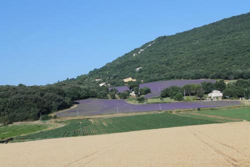 2017-06-25 09-53-27.JPG