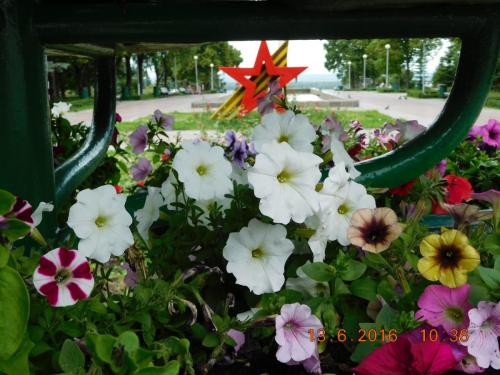 2016-06-13 10-36-10.JPG