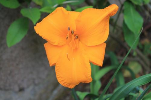 2017-06-28 15-18-18.JPG