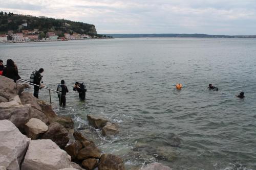 2015-10-01 11-34-07.JPG