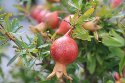 2015-10-01 12-10-49.JPG