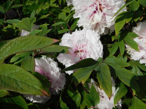 2015-01-01 00-00-00 (159).JPG