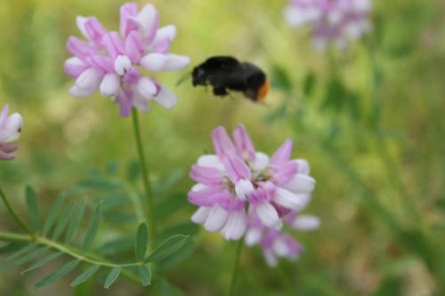 2016-06-12 14-50-13.JPG