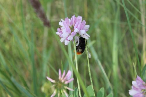 2016-06-12 14-49-17.JPG