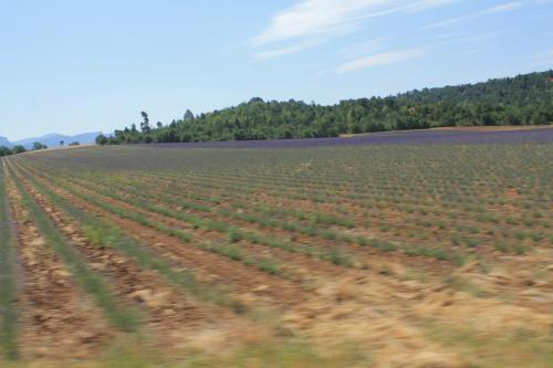 2017-06-26 12-30-42.JPG