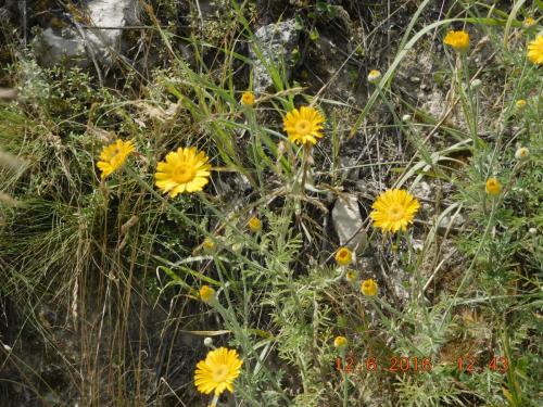 2016-06-12 12-43-50.JPG