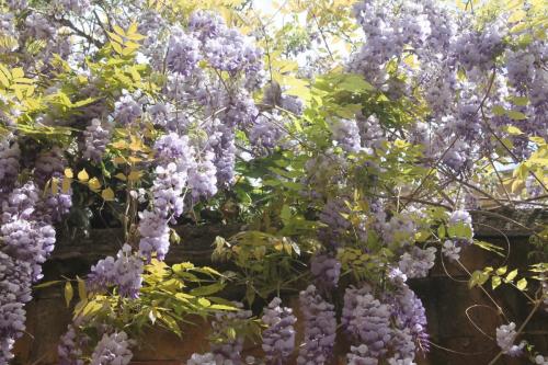 2016-04-22 14-15-23.JPG