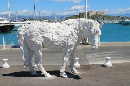 2017-06-29 12-57-16.JPG