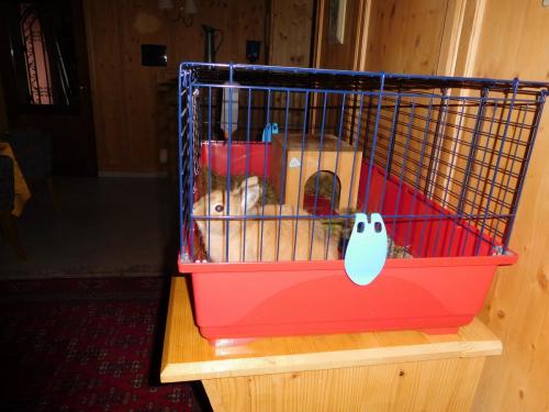 2015-01-01 00-00-00 (365).JPG