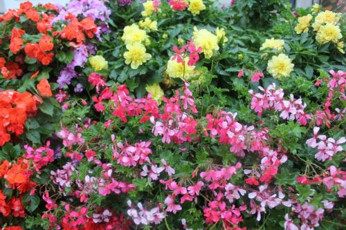 2016-09-06 19-36-19.JPG