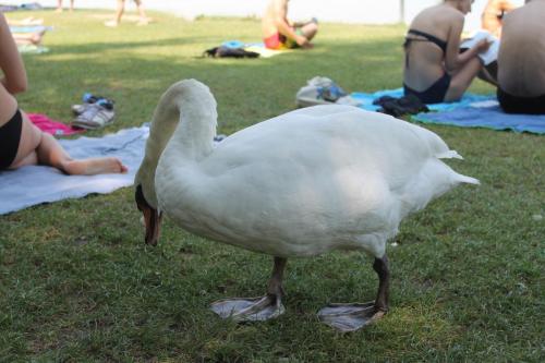 2017-06-24 15-25-55.JPG