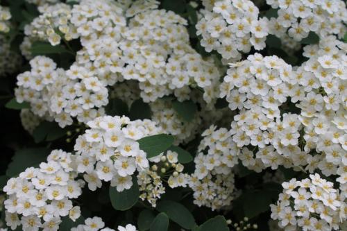 2016-04-24 12-57-51.JPG