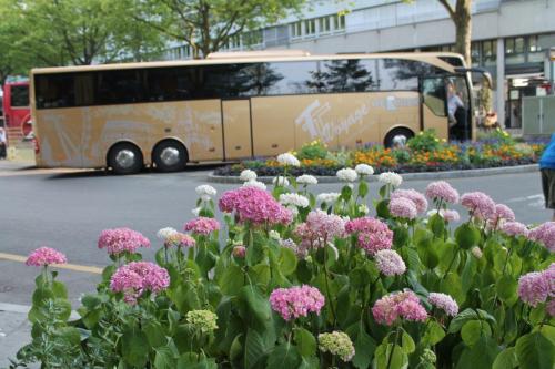 2017-06-23 20-15-16.JPG