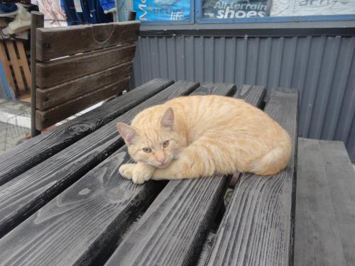 2015-09-25 10-54-42.JPG