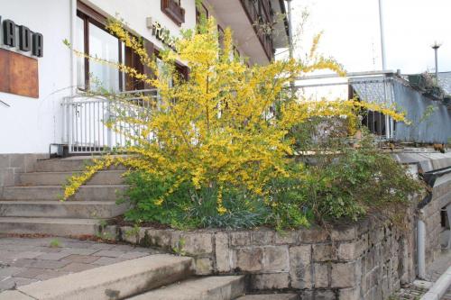 2016-04-24 08-21-08.JPG