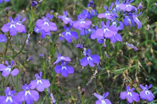 2015-10-02 12-26-25.JPG