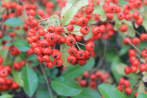 2015-10-01 10-09-50.JPG