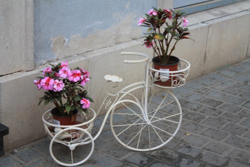 2015-10-03 14-08-15.JPG