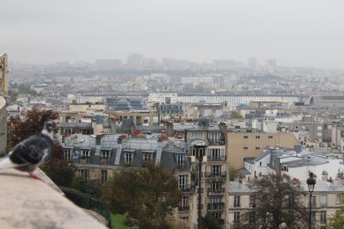 2017-10-08 10-29-18.JPG