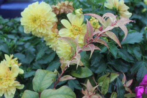 2016-09-06 19-40-48.JPG