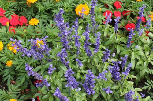 2017-06-23 20-33-33.JPG