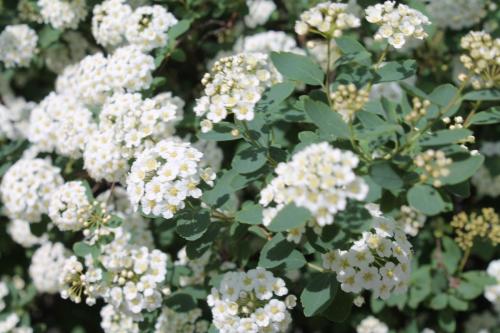 2016-04-24 12-24-00.JPG