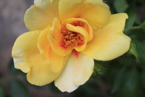 2017-06-28 15-05-30.JPG