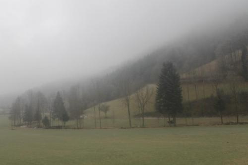 IMG_0167.JPG