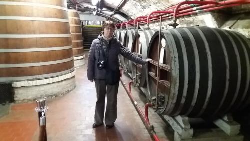 2017-10-11 12-01-09.JPG